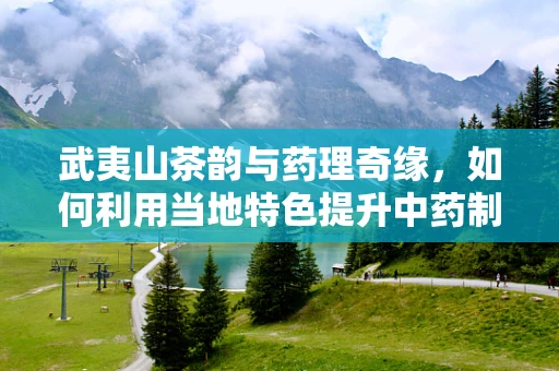 武夷山茶韵与药理奇缘，如何利用当地特色提升中药制剂的天然优势？
