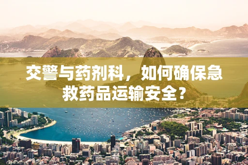 交警与药剂科，如何确保急救药品运输安全？