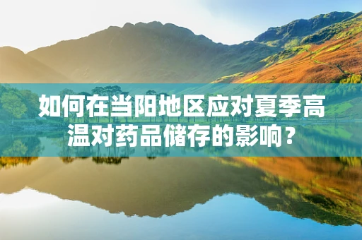 如何在当阳地区应对夏季高温对药品储存的影响？