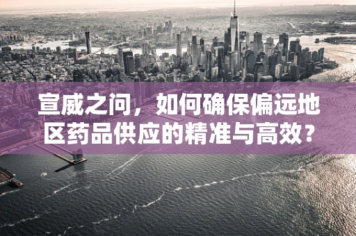 宣威之问，如何确保偏远地区药品供应的精准与高效？
