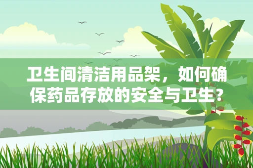卫生间清洁用品架，如何确保药品存放的安全与卫生？