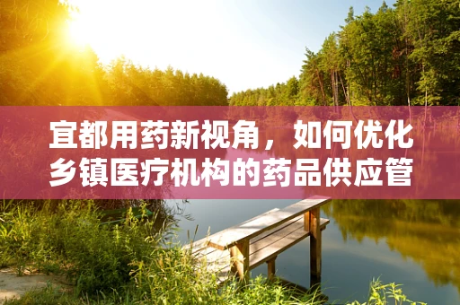 宜都用药新视角，如何优化乡镇医疗机构的药品供应管理？