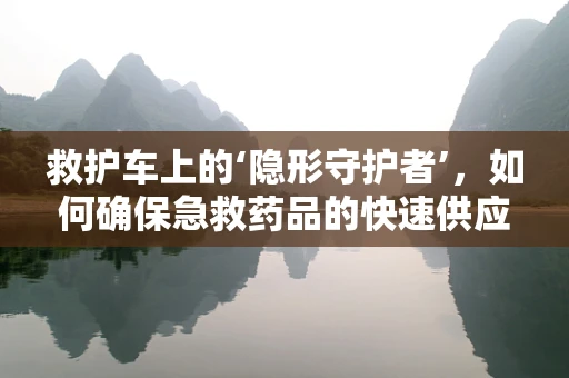 救护车上的‘隐形守护者’，如何确保急救药品的快速供应？