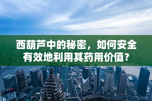 西葫芦中的秘密，如何安全有效地利用其药用价值？