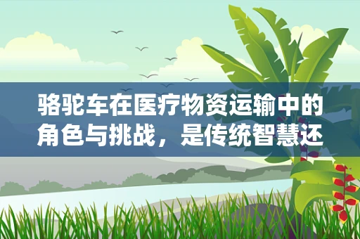 骆驼车在医疗物资运输中的角色与挑战，是传统智慧还是现代困境？