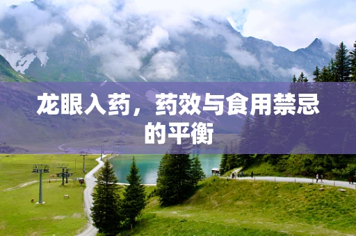 龙眼入药，药效与食用禁忌的平衡