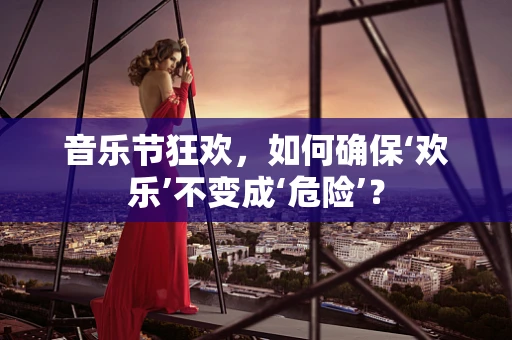 音乐节狂欢，如何确保‘欢乐’不变成‘危险’？