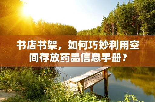书店书架，如何巧妙利用空间存放药品信息手册？