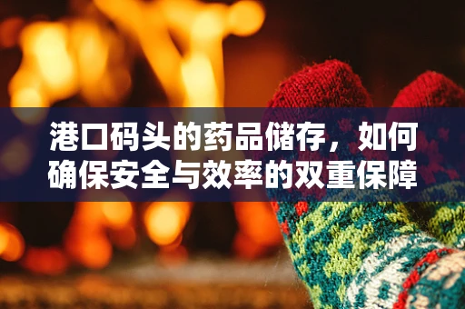港口码头的药品储存，如何确保安全与效率的双重保障？