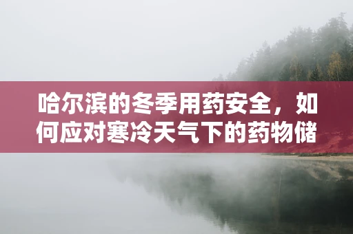 哈尔滨的冬季用药安全，如何应对寒冷天气下的药物储存挑战？