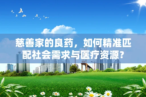 慈善家的良药，如何精准匹配社会需求与医疗资源？
