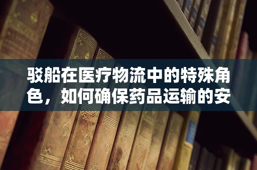 驳船在医疗物流中的特殊角色，如何确保药品运输的安全与效率？