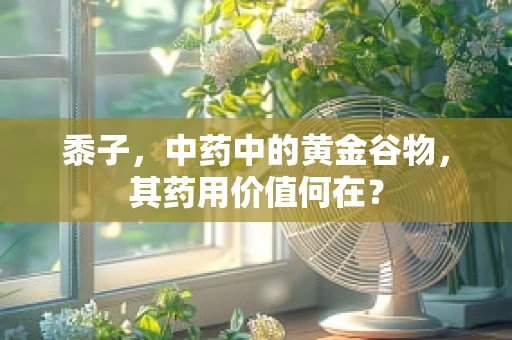黍子，中药中的黄金谷物，其药用价值何在？
