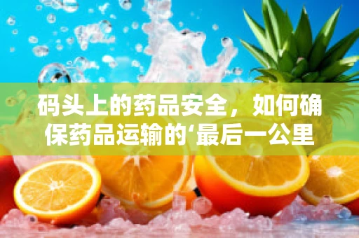 码头上的药品安全，如何确保药品运输的‘最后一公里’安全无虞？