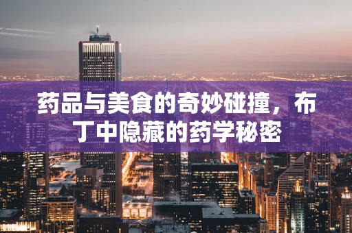 药品与美食的奇妙碰撞，布丁中隐藏的药学秘密