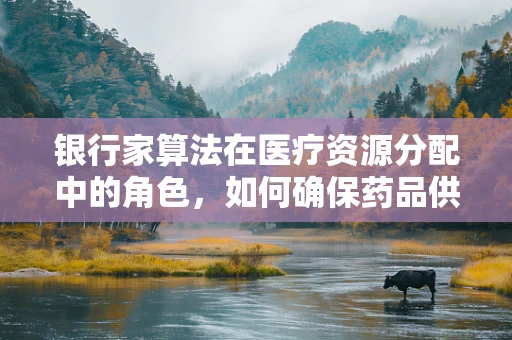 银行家算法在医疗资源分配中的角色，如何确保药品供应的安全到达？