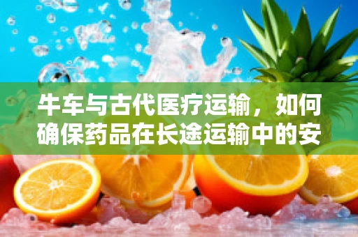 牛车与古代医疗运输，如何确保药品在长途运输中的安全与效力？