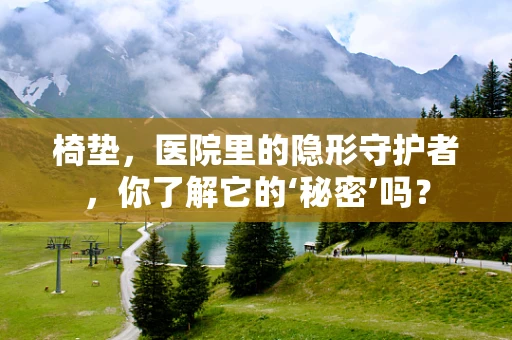 椅垫，医院里的隐形守护者，你了解它的‘秘密’吗？