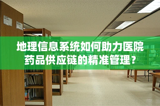 地理信息系统如何助力医院药品供应链的精准管理？