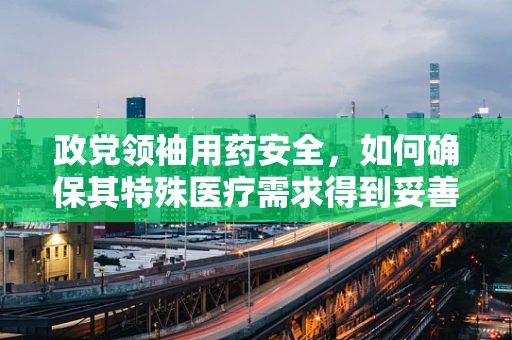 政党领袖用药安全，如何确保其特殊医疗需求得到妥善管理？