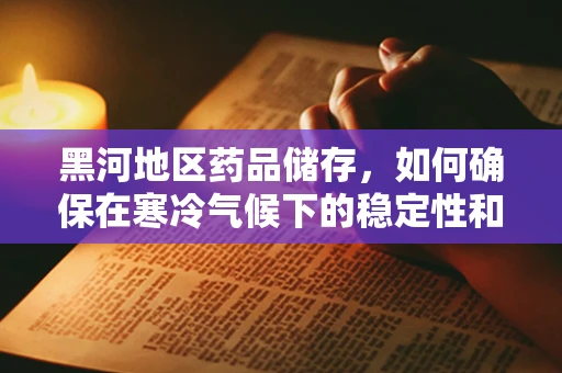 黑河地区药品储存，如何确保在寒冷气候下的稳定性和安全性？