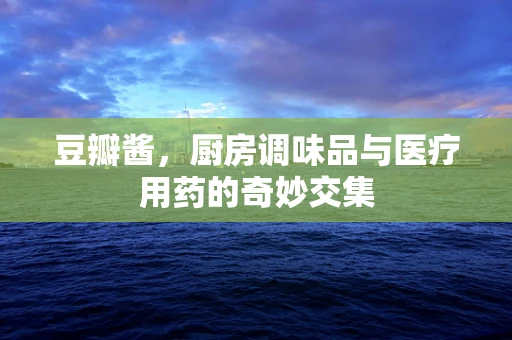 豆瓣酱，厨房调味品与医疗用药的奇妙交集
