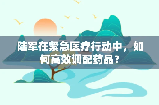 陆军在紧急医疗行动中，如何高效调配药品？