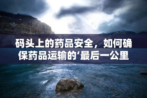 码头上的药品安全，如何确保药品运输的‘最后一公里’安全无虞？