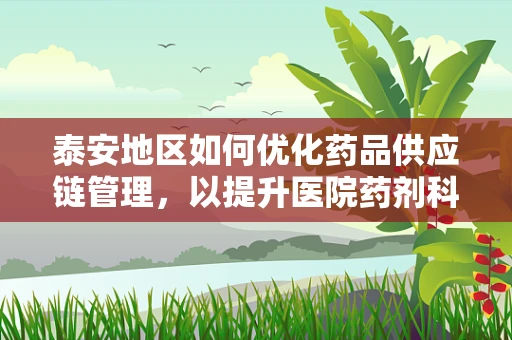 泰安地区如何优化药品供应链管理，以提升医院药剂科效率？