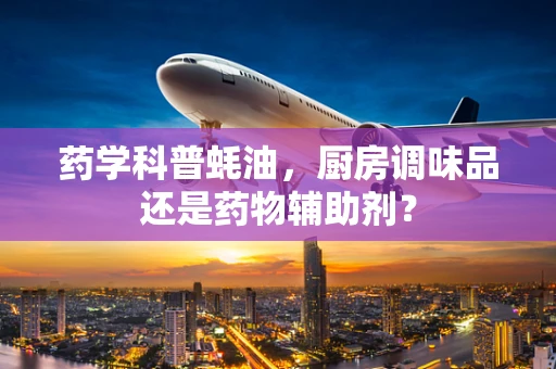 药学科普蚝油，厨房调味品还是药物辅助剂？