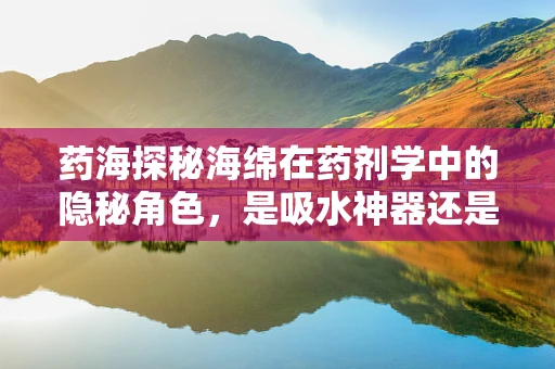 药海探秘海绵在药剂学中的隐秘角色，是吸水神器还是药物载体？