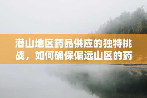 潜山地区药品供应的独特挑战，如何确保偏远山区的药物可及性？