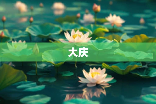 大庆