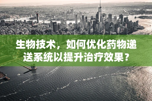 生物技术，如何优化药物递送系统以提升治疗效果？