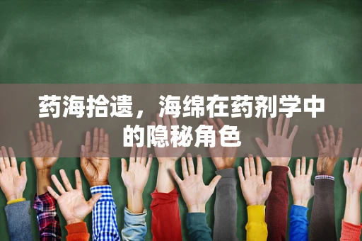 药海拾遗，海绵在药剂学中的隐秘角色