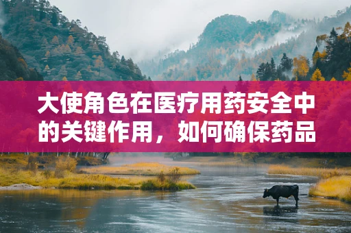 大使角色在医疗用药安全中的关键作用，如何确保药品供应的‘外交官’？