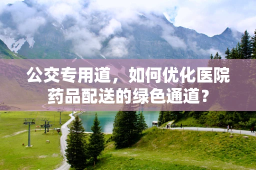 公交专用道，如何优化医院药品配送的绿色通道？