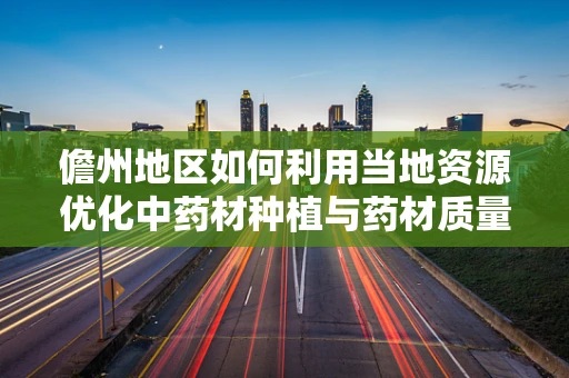 儋州地区如何利用当地资源优化中药材种植与药材质量控制？
