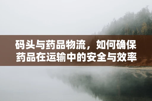 码头与药品物流，如何确保药品在运输中的安全与效率？