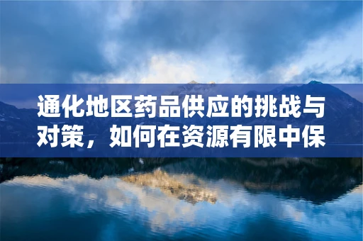 通化地区药品供应的挑战与对策，如何在资源有限中保障药品供应？
