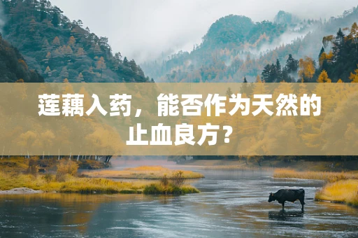 莲藕入药，能否作为天然的止血良方？