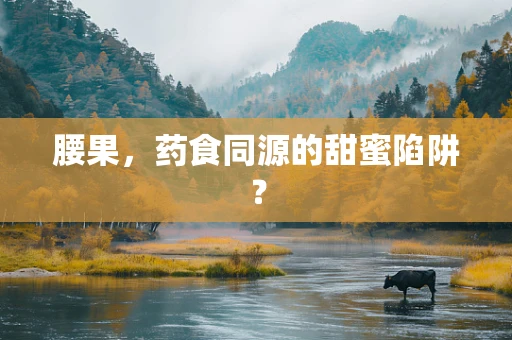 腰果，药食同源的甜蜜陷阱？