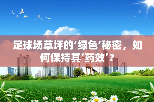 足球场草坪的‘绿色’秘密，如何保持其‘药效’？