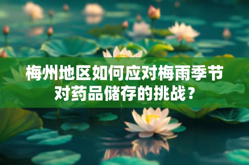 梅州地区如何应对梅雨季节对药品储存的挑战？