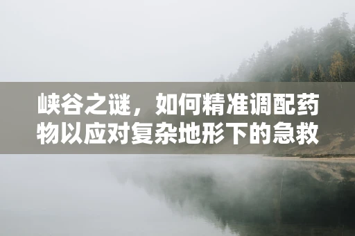 峡谷之谜，如何精准调配药物以应对复杂地形下的急救？