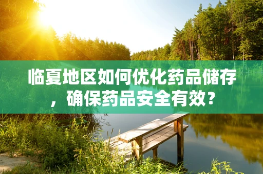 临夏地区如何优化药品储存，确保药品安全有效？