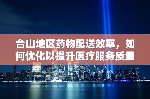 台山地区药物配送效率，如何优化以提升医疗服务质量？