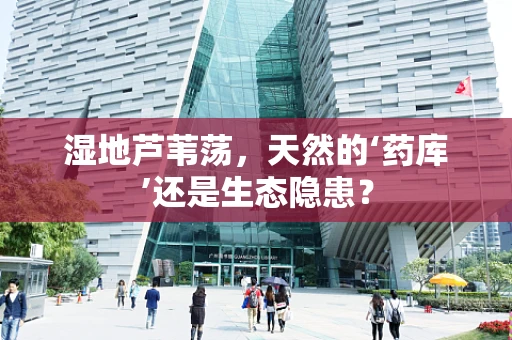 湿地芦苇荡，天然的‘药库’还是生态隐患？