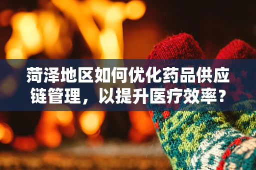 菏泽地区如何优化药品供应链管理，以提升医疗效率？