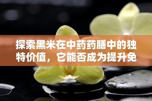探索黑米在中药药膳中的独特价值，它能否成为提升免疫力的秘密武器？